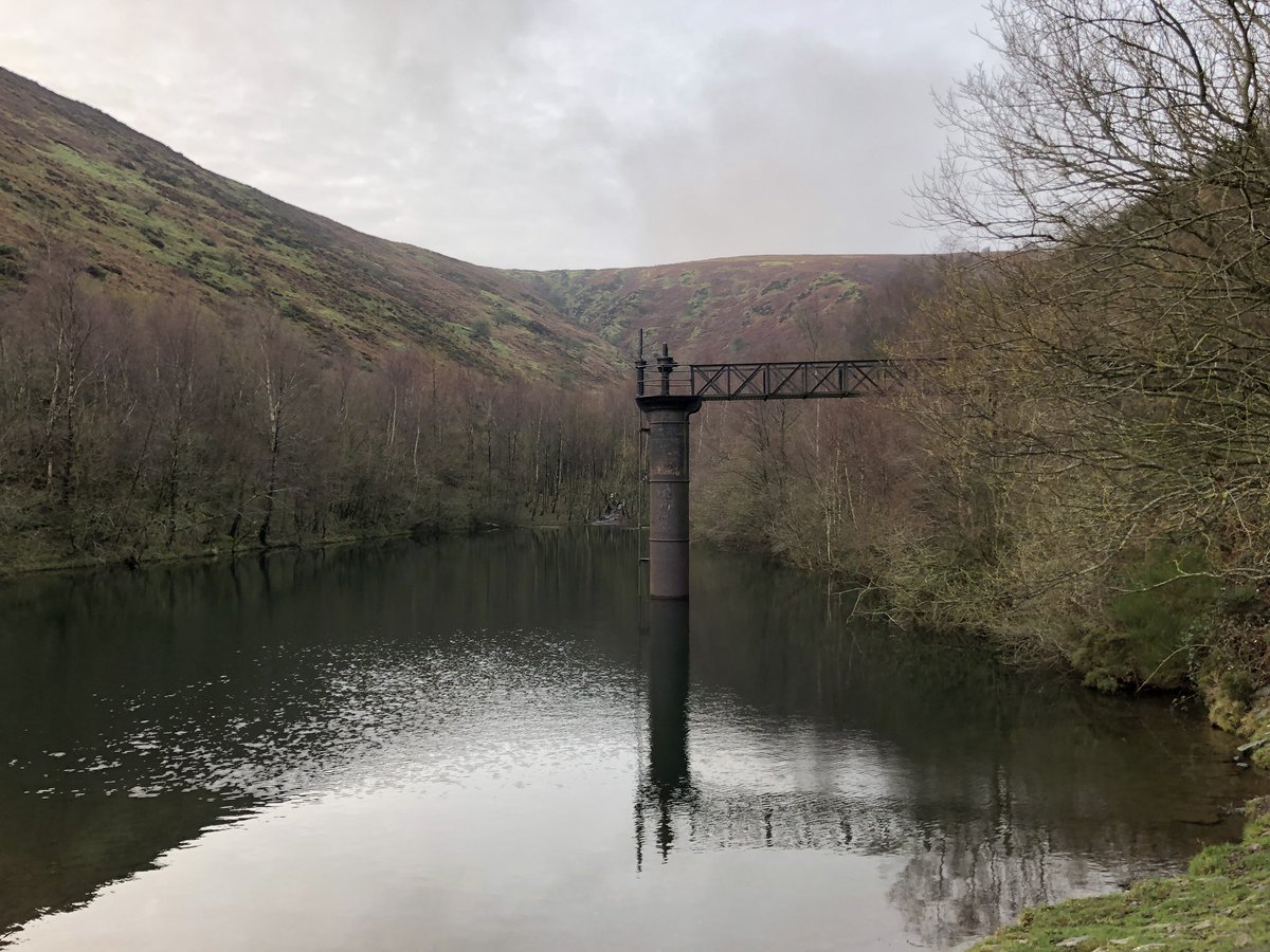 Bracing Boxing Day dip (or how to feel truly alive) #dip #outdoorswimming #reservoirswim