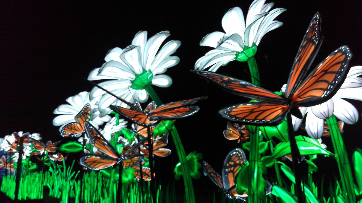 Plus réels que jamais, ces papillons de lumière géants 🦋 et bien d’autres espèces animales disparues ou en voie d’extinction 🐧 vous attendent au Jardin des Plantes🌻 jusqu’au 15 janvier (<a href="/Le_Museum/">Muséum national d'Histoire naturelle</a> #EspècesIlluminées). ©Emilie Prdx 🦖🐢🐊