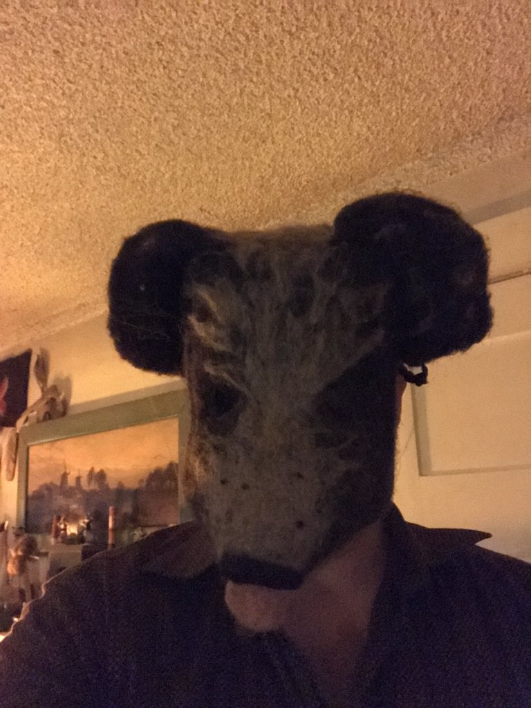 RToddMitchell's tweet photo. @Mammals_Suck I slept through the night, no ill effects. https://t.co/Tnyv1BonkB