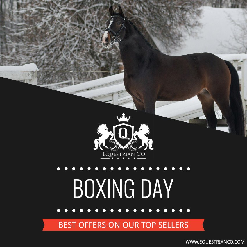 Equestrian Co. tweet media