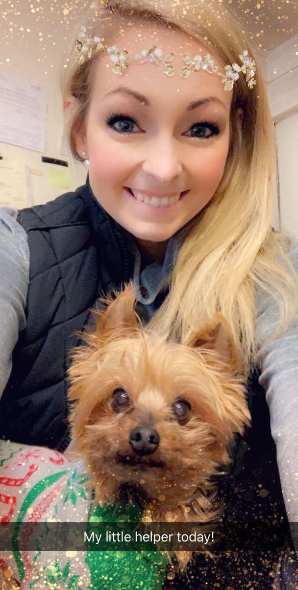 He’s helping me keep everyone in line at work today 💕 #JackDaniels #myfirstbaby #oldman #yorkie #13yearsyoung