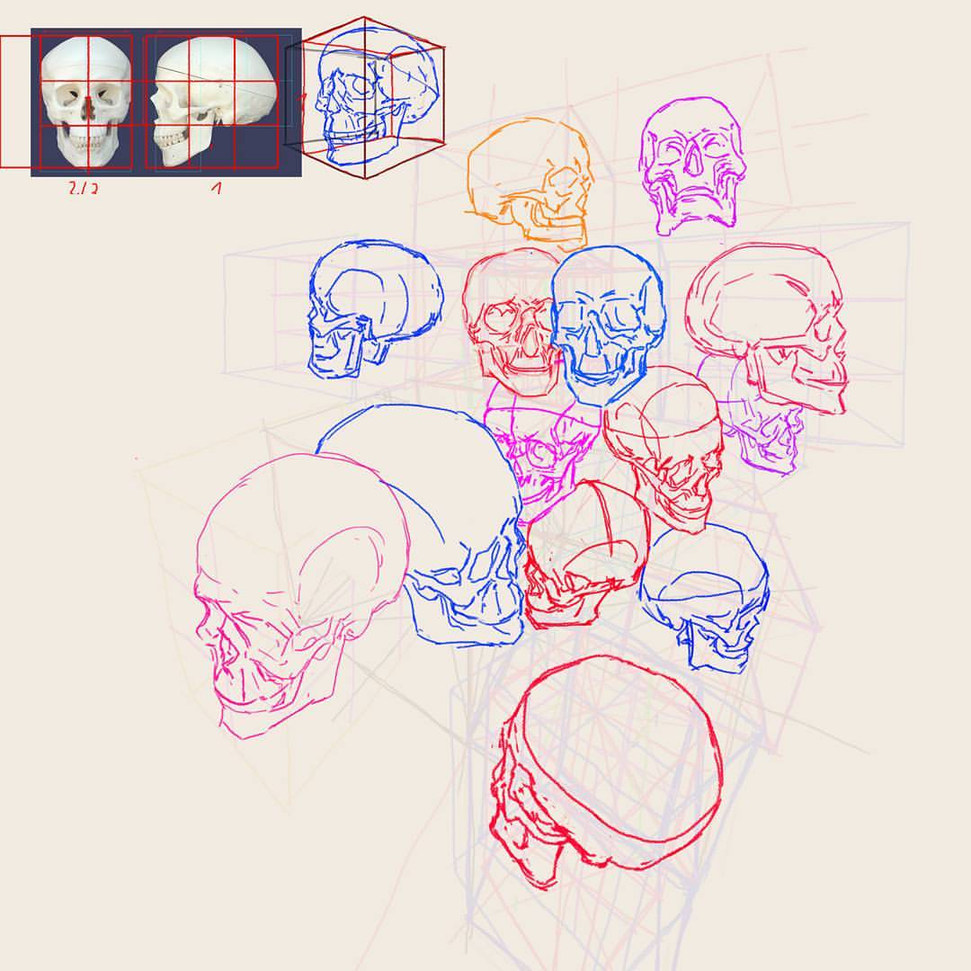 Drawing in perspective by multiplying cubes I used only a few references, by measuring proportion I could dissect cube to inscribe skull in right size and perspective. This is a bit time consuming but in long run, it will give me more freedom and maybe @KimJungGiUS superpowers ? 