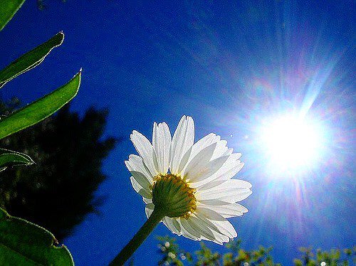 solysombra0518's tweet photo. Pics from @floranceyip-nim Insta🇫🌞🌼🙏
①"Without these two, it would not have been possible. ❤️" #FendixYoungbae
https://t.co/OyJ72EOILL 
②https://t.co/sKWqbGzCfM
③"Two are better than one…" 
https://t.co/C4T4UFbuZB
④“I’m not what happened to me…"
https://t.co/oKOSzSROug https://t.co/dICdfCtFr1