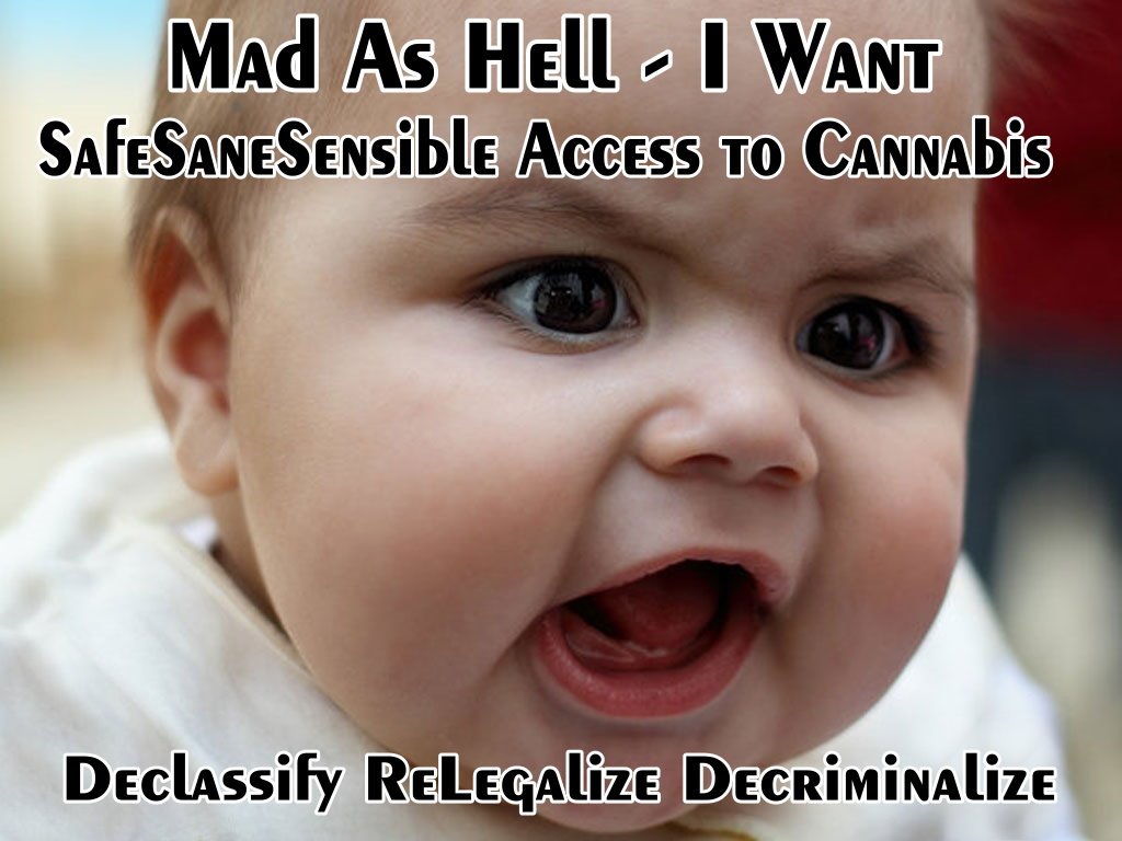 Cogitatorium's tweet photo. Make 2019 the year we #Declassify #ReLegalize #Decriminalize and finally have access to #SafeSaneSensibleAccess

#CannaFam #CannaWorld https://t.co/KvDKWOaSbN