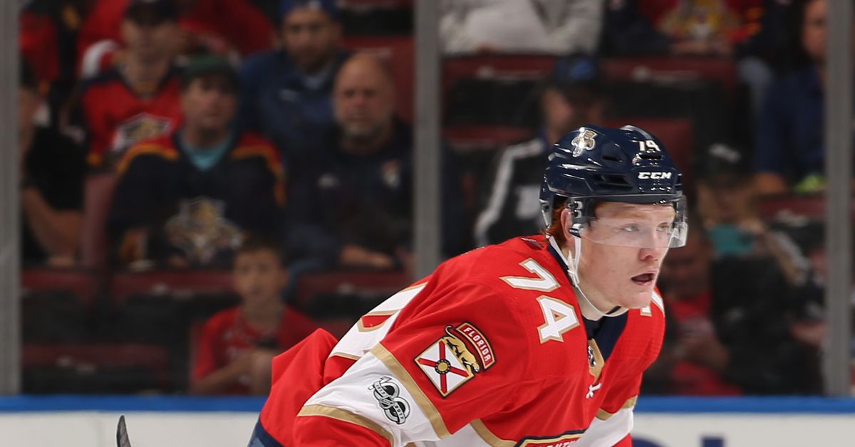 zestyflpanthers's tweet photo. Tippett, Heponiemi in action as 2019 World Junior Championship opens today https://t.co/h2eylVq2Mj https://t.co/TJxnPeQv0E