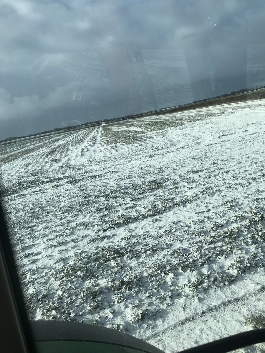 DFoster724's tweet image. 4 photos that sum up this year. #beastfromtheeast #wetspring #drought2018 #harvest2018
