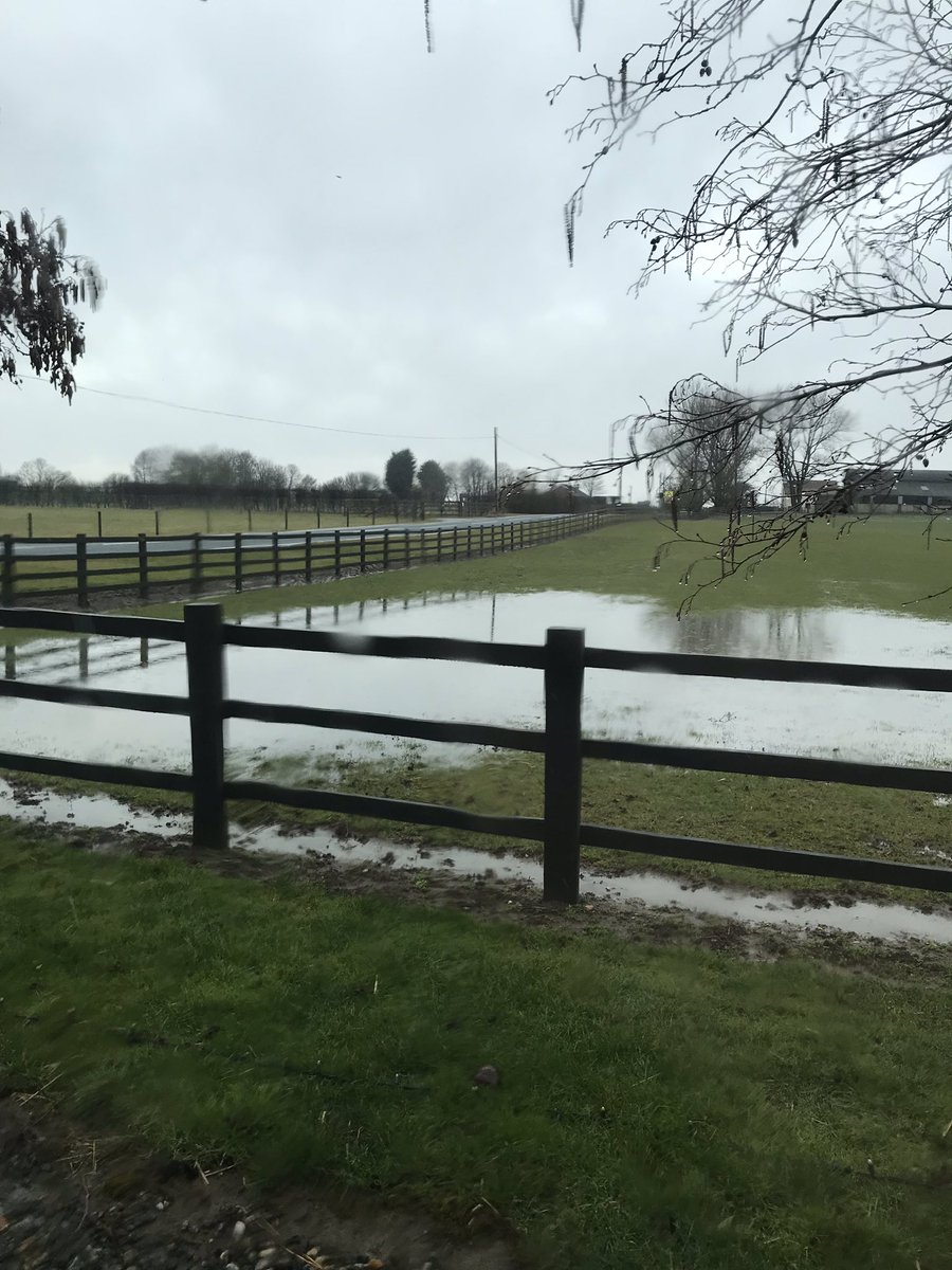 DFoster724's tweet image. 4 photos that sum up this year. #beastfromtheeast #wetspring #drought2018 #harvest2018
