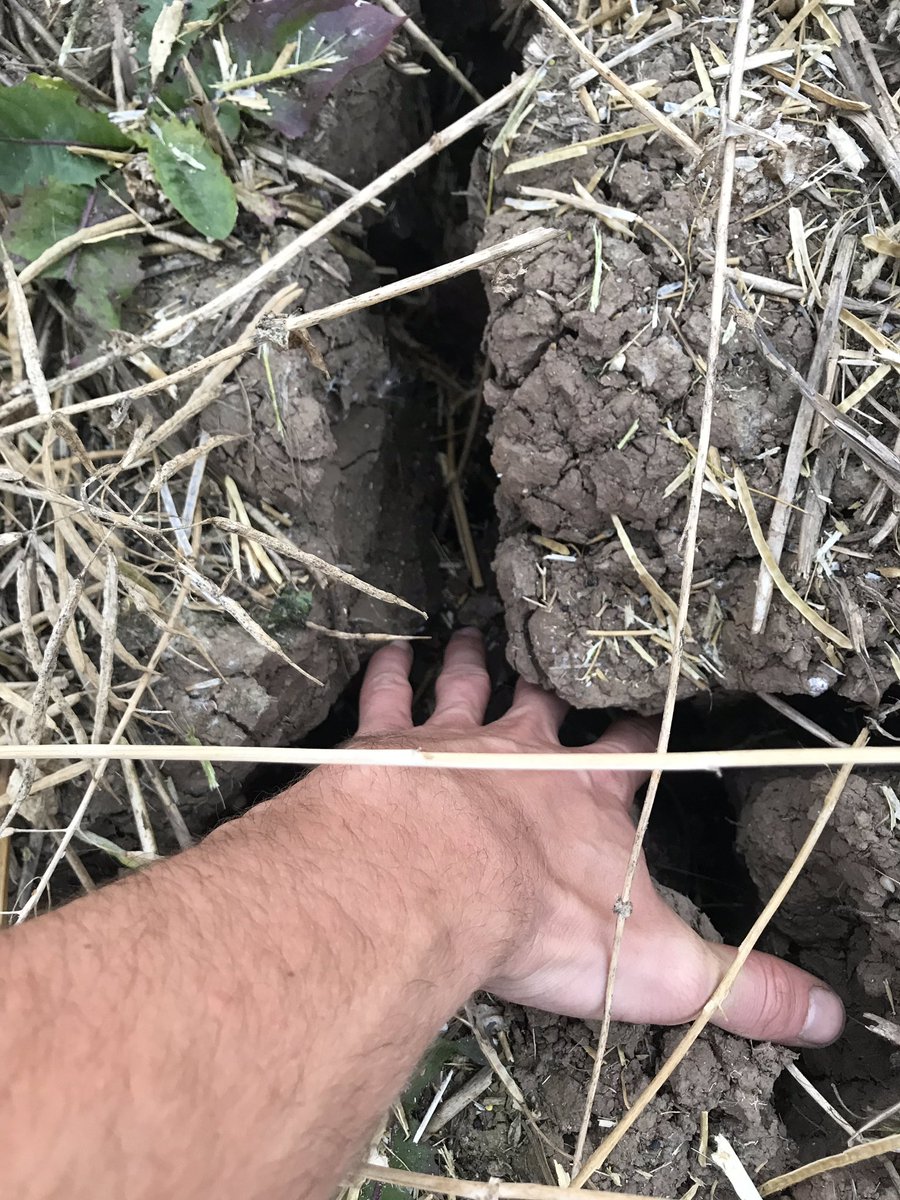 DFoster724's tweet image. 4 photos that sum up this year. #beastfromtheeast #wetspring #drought2018 #harvest2018