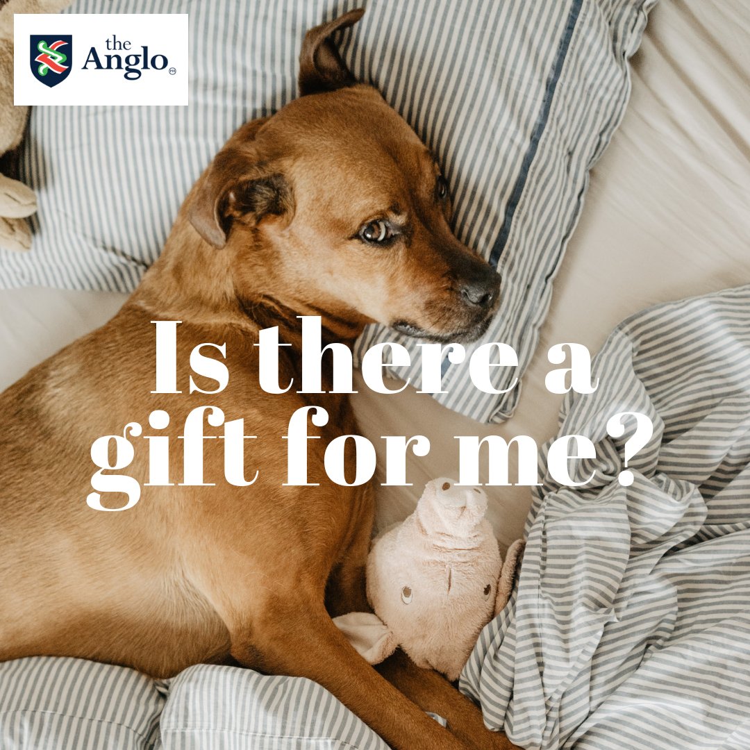 ¿Hay un regalo para mi? Hay gente tan detallista que siempre tienen un detalle de Navidad para todos. ¿Eres tú uno de ellos?