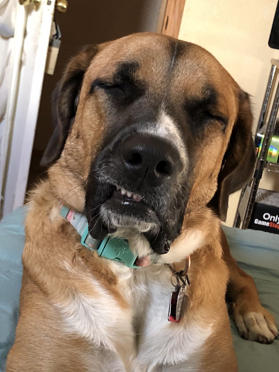 Felt cute, might delete later