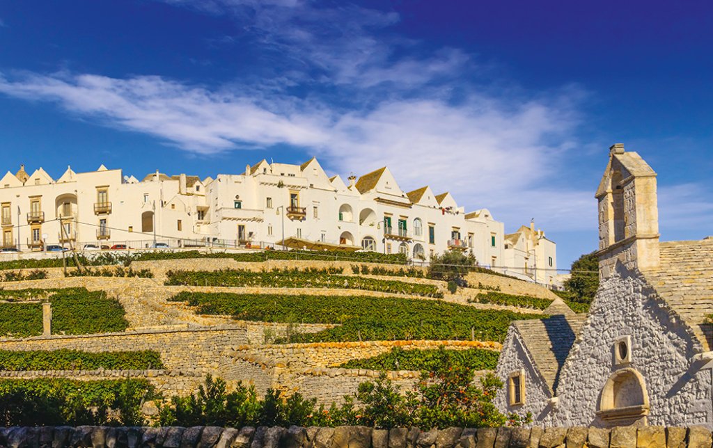 Hand Picked Puglia tweet media