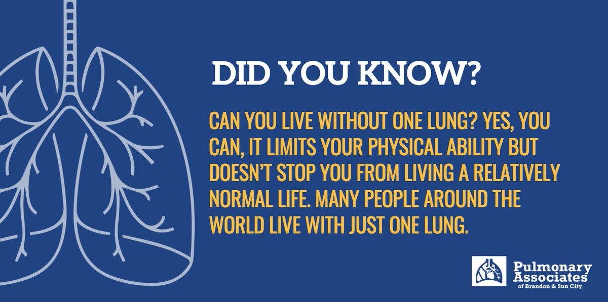 Can you live without one lung? Yes, you can! It limits your physical ability but doesn’t stop you from living a relatively normal life. Many people around the world live with just one lung. #TheMoreYouKnow #Pulmonary