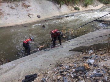 Ver imagen en Twitter