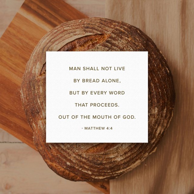 Susie_eeyore's tweet image. #breadalone
Jesus answered, “It is written: ‘Man shall not live on bread alone, but on every word that…
bible.com/verse-of-the-d…