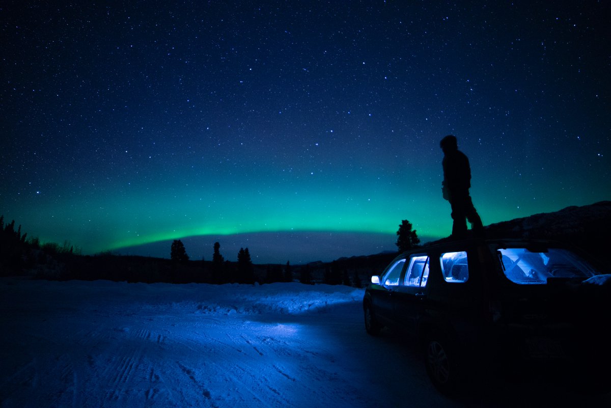 Holmlands tweet media