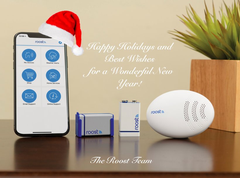 Happy Holidays and Best Wishes for a Wonderful New Year!