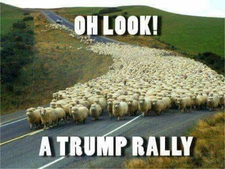 wolfheilmann's tweet photo. https://t.co/2RKYAig6m5