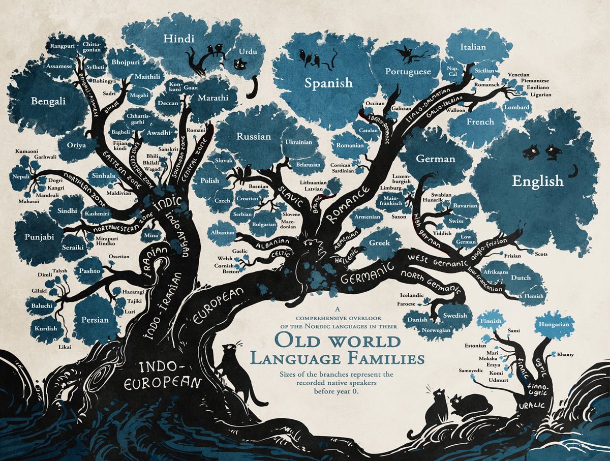 World’s languages infographic 😯🤓