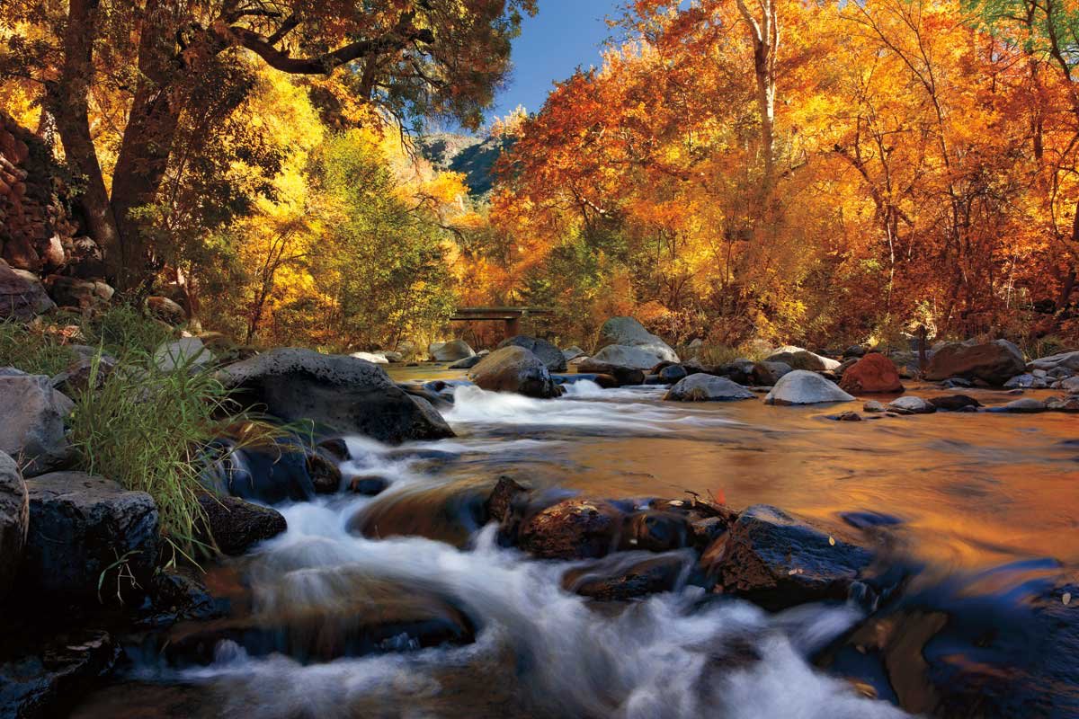 AffordableFrame's tweet image. Come see beautiful prints at Affordable Framing like River of Gold by Mike Jones, published by @CAPandWinnDevon.