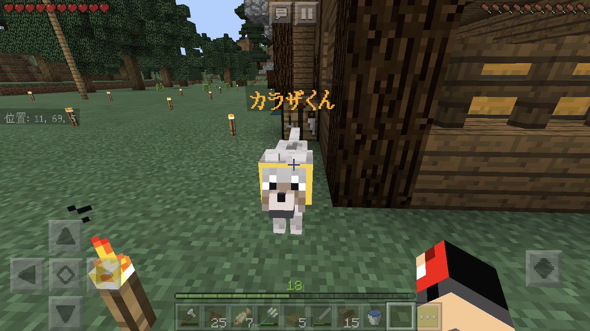 マイクラpeマルチ募集