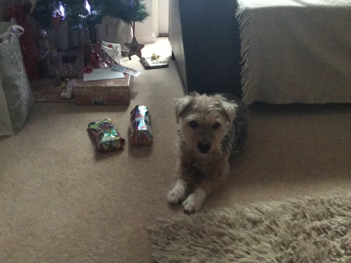 PoppyH20's tweet image. A big thank you to my secret Santa for my lovely presents “squeak squeak, nom nom” and to ⁦@hamish_hrh⁩ for organising #btpsanta  😘😘