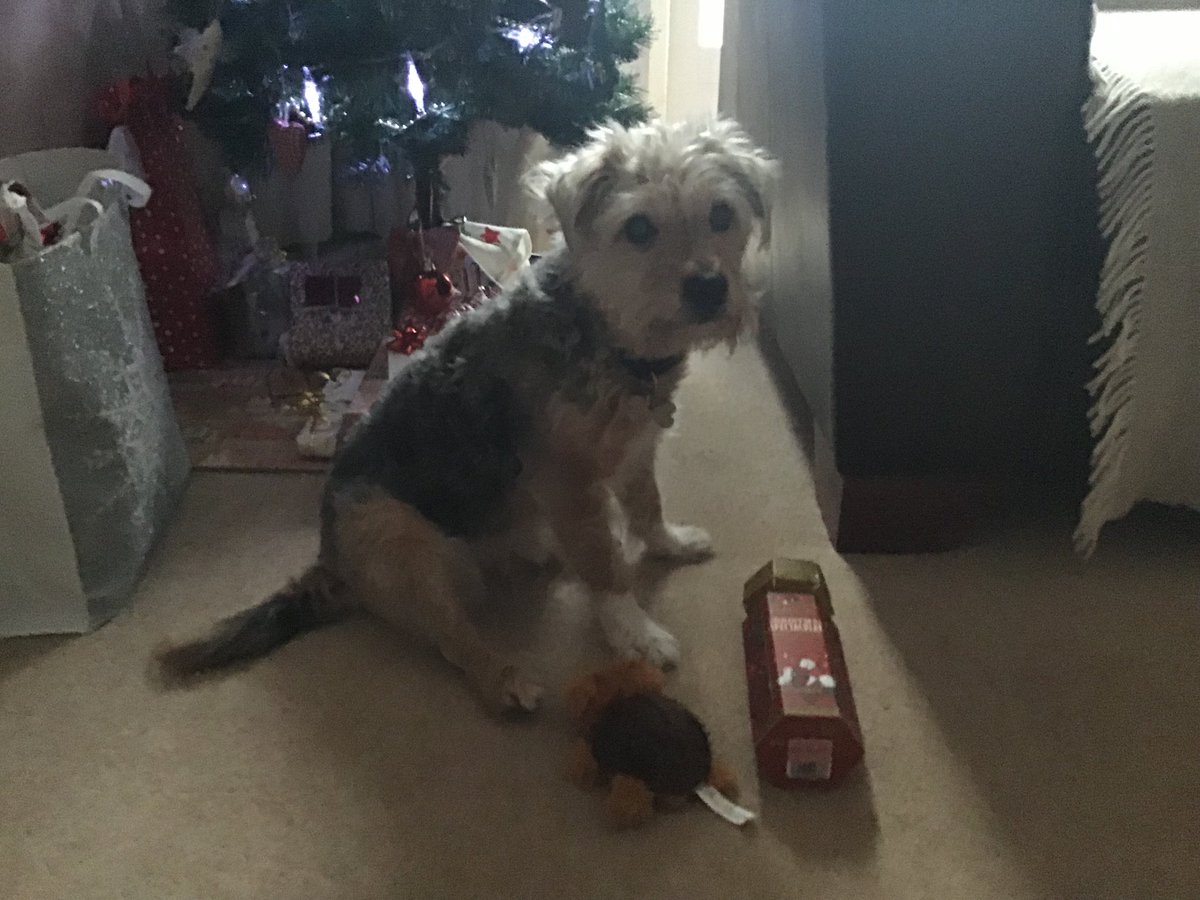 PoppyH20's tweet image. A big thank you to my secret Santa for my lovely presents “squeak squeak, nom nom” and to ⁦@hamish_hrh⁩ for organising #btpsanta  😘😘