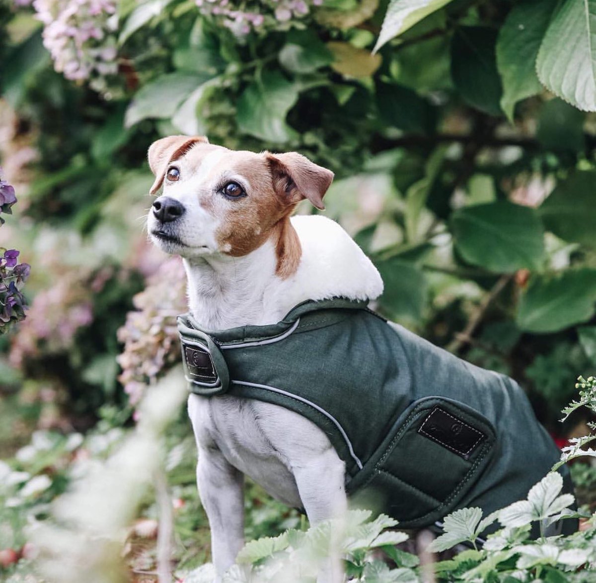 Just Equine tweet media