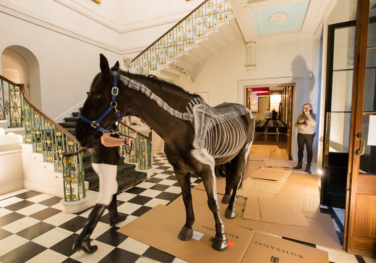 I am the first Christmas Lecturer to bring a live horse into the Royal Institution. And by the way, that lecture theatre is UPSTAIRS! (Photo: Paul Wilkinson) #xmaslectures