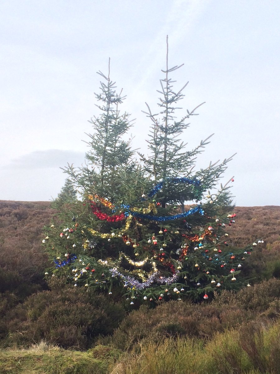 paulhan's tweet photo. Photo taken up on the Dublin mountains while driving to Bray with my daughter https://t.co/wrQhn9ykmK