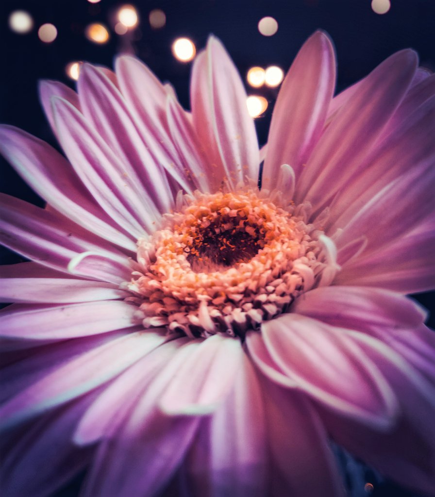 TweetingBlock's tweet image. Shot on OnePlus 6.