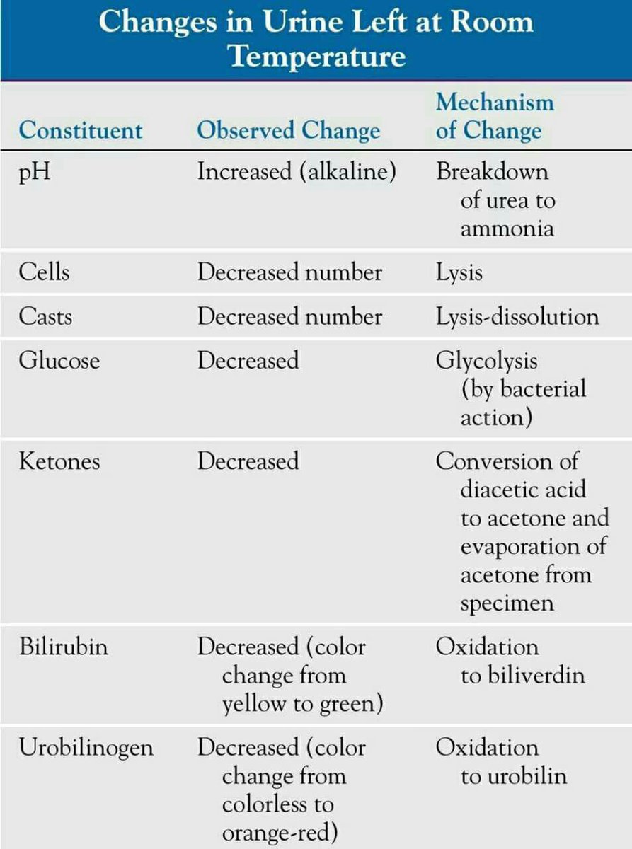 ruqia_omerr's tweet image. Change in urine at room temperature