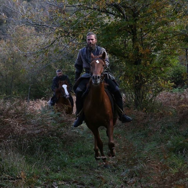 mlok00's tweet photo. حصرري الان تسريب الحلقة 129

لعشاق المسلسل التركي ارطغِِرل

تحميل ومشاهدة الحلقة 129كاملة 

🛑سيرفرات المشاهدة 📺 ↓↓↓
//
\\
 سيرفر 1  : https://t.co/lgEozhWcdJ

 سيرفر 2  : https://t.co/lgEozhWcdJ
\\
//

⚔️️#قيَامة_ارطغرًل_129 ⚔️
🗝️#ارطَغرل_129🗝️ https://t.co/FXKKoAreqi