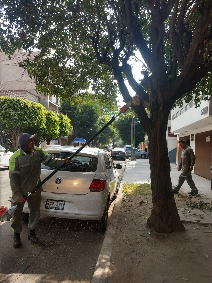 AccionesBJ's tweet photo. @profehomero @BJAlcaldia @SolucionesBJ @En_Narvarte Hola, tu solicitud fue atendida por Servicios Urbanos. #AccionesBJ https://t.co/0YaoDxxYC6