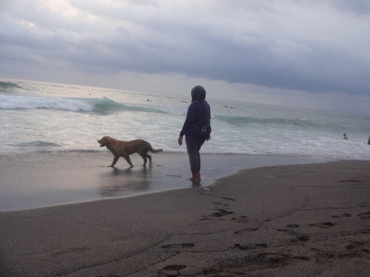 Dwiratna_19juni's tweet photo. Menikmati senja di pantai batu bolong #pantai #batubolong #kutautara https://t.co/hOc2VLArwT