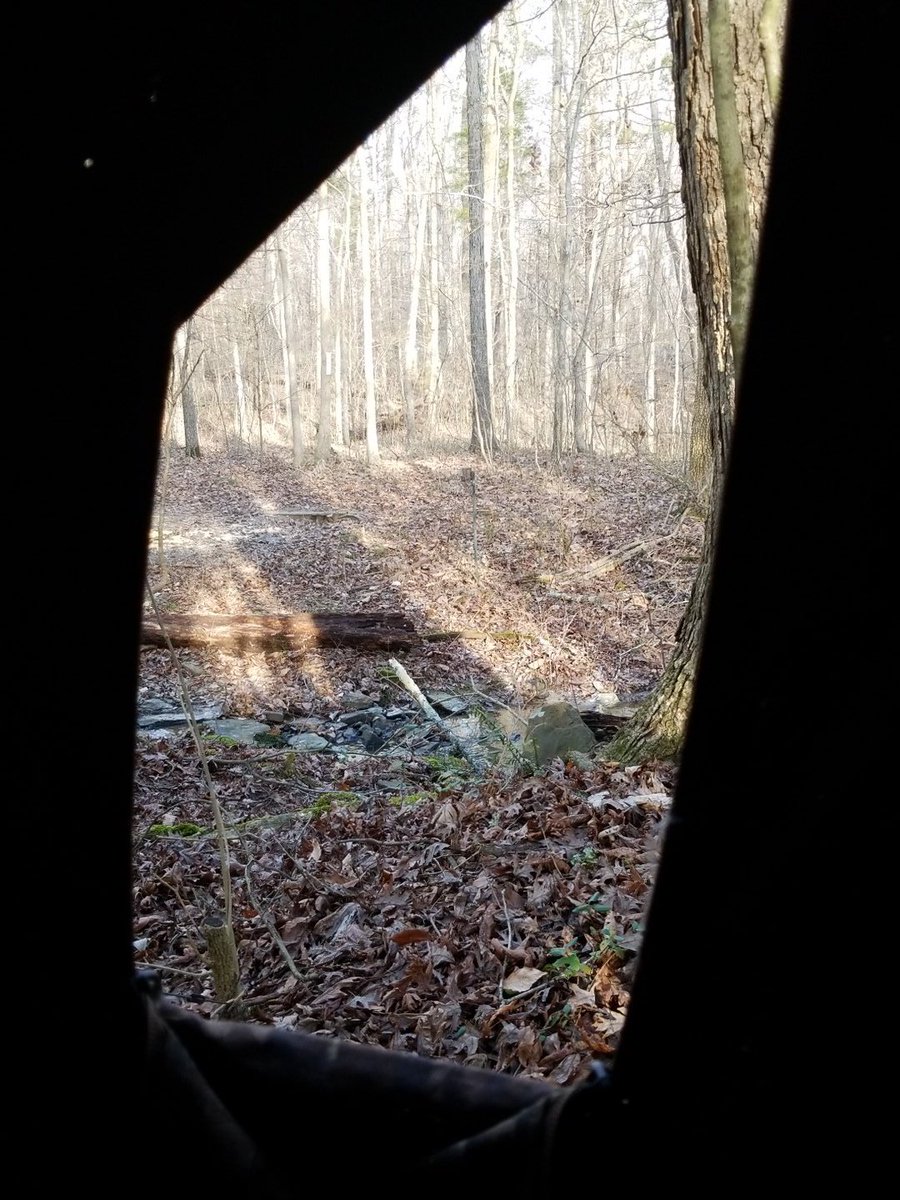 KevinRay65's tweet image. My view for the afternoon and yes I'm  Still trying to fill my tags. It's been a long hard  season so far.