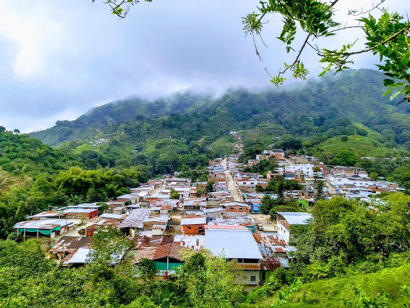 It was a great experience to welcome <a href="/dragomocambo/">Drago Mocambo</a> in our coffee farms in Siberia, and Palmor. They were happy to get to know the whole process from the seed up to the boat. For us, it’s very important to meet roasters and coffee importers, in order to ensure a fair