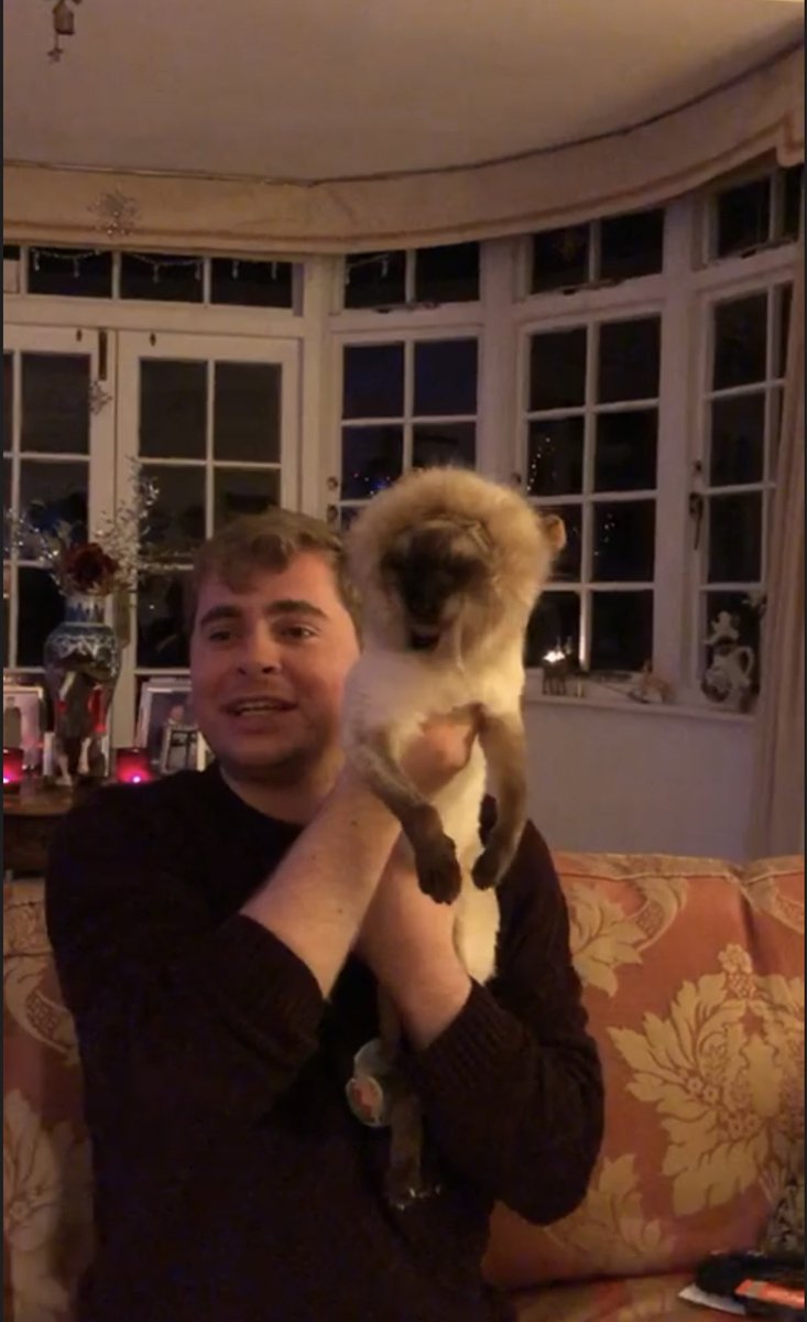 Willum_Esq's tweet image. The time old tradition of dressing up our cats for a few minutes each year continues. I brought the cat in to the Circle of Life. #mems #mlems