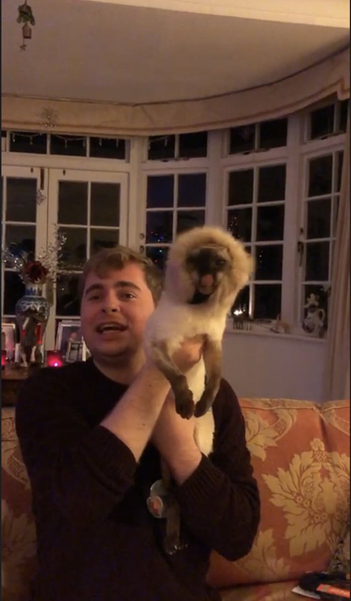 Willum_Esq's tweet image. The time old tradition of dressing up our cats for a few minutes each year continues. I brought the cat in to the Circle of Life. #mems #mlems