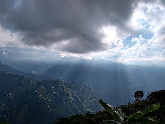 RED ECOLSIERRA tweet media