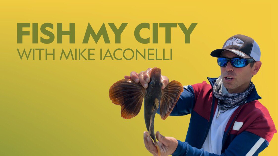 @natgeowild @NatGeoChannel We want more Fish my City with Mike Iaconelli!!!! Season 2 !!! <a href="/Mq57Michael/">Bass fishing NJ</a> <a href="/BassAnglerMag62/">dale adams</a> <a href="/CanuckBassin/">CANUCK BASSIN</a> <a href="/LimeyBasstard/">David Cook 🇨🇦🇨🇦🇨🇦🇨🇦🇨🇦🇨🇦🇨🇦</a> <a href="/samanthalgay/">Samantha Gay</a> <a href="/ChrisKOutdoors/">CK Outdoors</a> <a href="/riversofashdave/">DavidS.bassfishing</a> <a href="/Yak4lifeJenMues/">Jen Mues</a> <a href="/Kayak_Dizz/">Dustin Mues</a> <a href="/Walt_Parker/">Walter Parker</a> @Fisherman1954 <a href="/WeFish_Fishing/">Wefish</a>