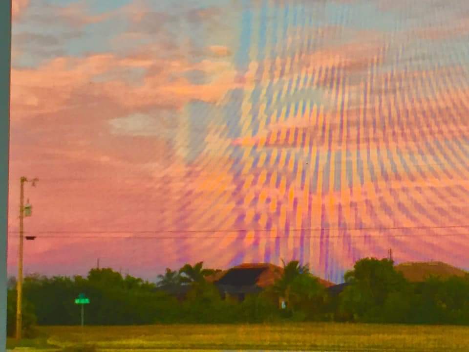 art_oops's tweet image. 