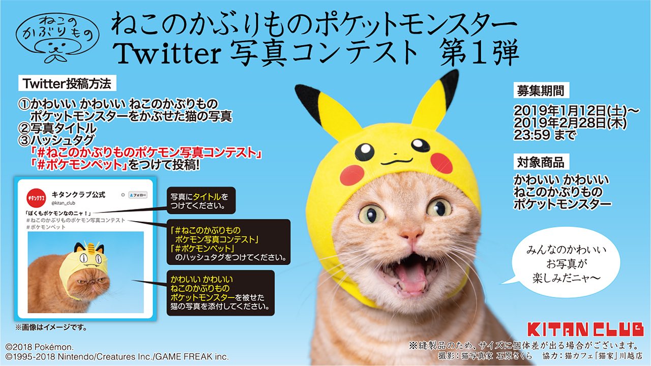 キタンクラブ公式 ねこのかぶりものポケットモンスターtwitter写真コンテスト第1弾 の詳細を発表 1 12 土 発売の かわいいかわいいねこのかぶりもの ポケットモンスター を被せた猫ちゃんのお写真でご参加可能です 詳細はキタンクラブのblogを