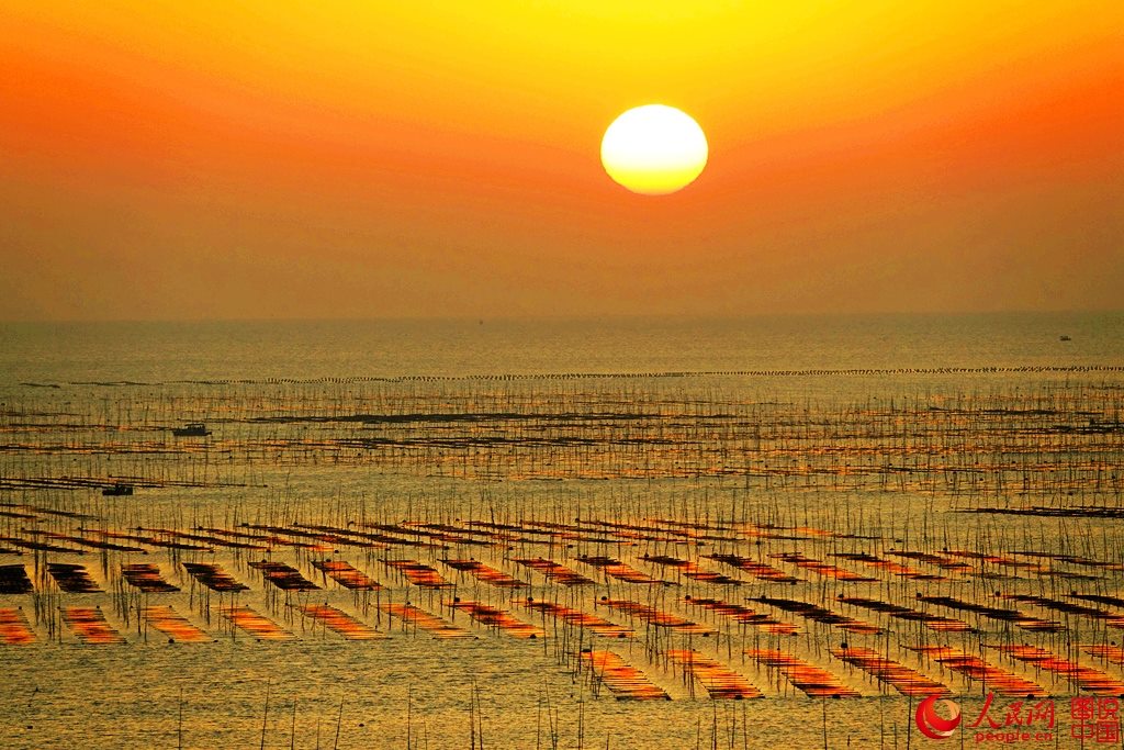 PDChina's tweet image. Magnificent tidal land seen at dawn: Beiqi Village of Xiapu County in E China’s #Fujian province has always been an ideal place for photographers to capture the capricious beauty of tidal land.