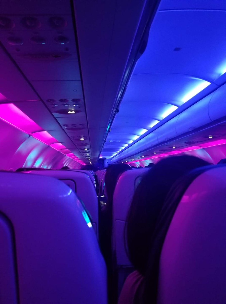 art_oops's tweet image. 