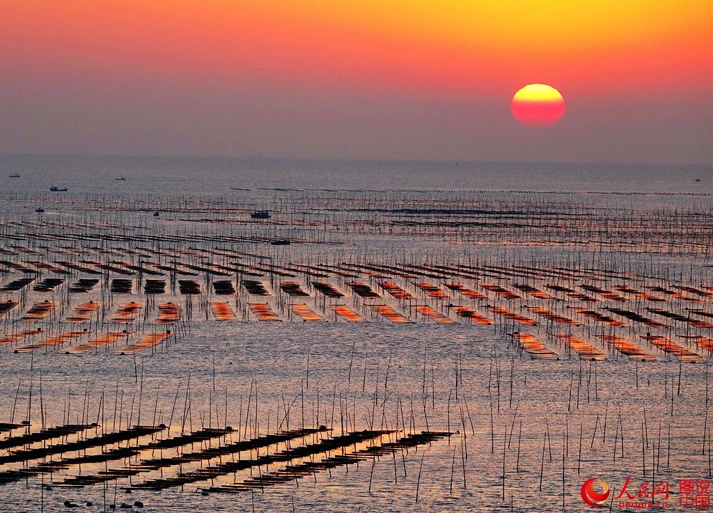 PDChina's tweet image. Magnificent tidal land seen at dawn: Beiqi Village of Xiapu County in E China’s #Fujian province has always been an ideal place for photographers to capture the capricious beauty of tidal land.