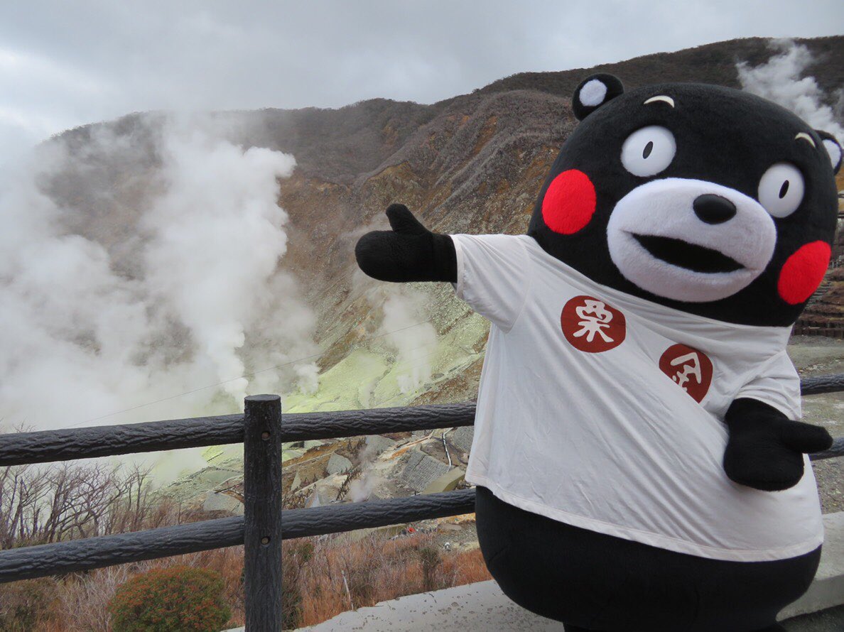 【激安】半額以下- 50%OFFの安い通販 Kumamon (@55_kumamon_eng) / X 米・雑穀・粉類
