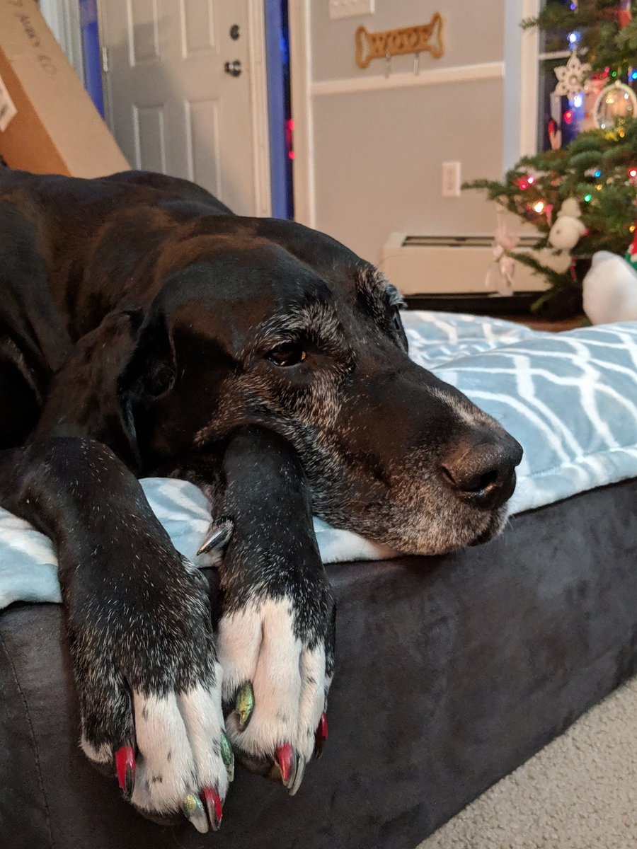 TeamHunterWendy's tweet photo. We want to say a big THANK YOU to @bigbarkerusa for Wendy's new Barker bed!! She loves it and knows how the use the headrest!🥰We loved it so much that we decided to sleep on it last night and she shared it with me😉Thank you again so much!!!💕 #bigbarker #amazingbed #sograteful https://t.co/mH5wWvRQMR