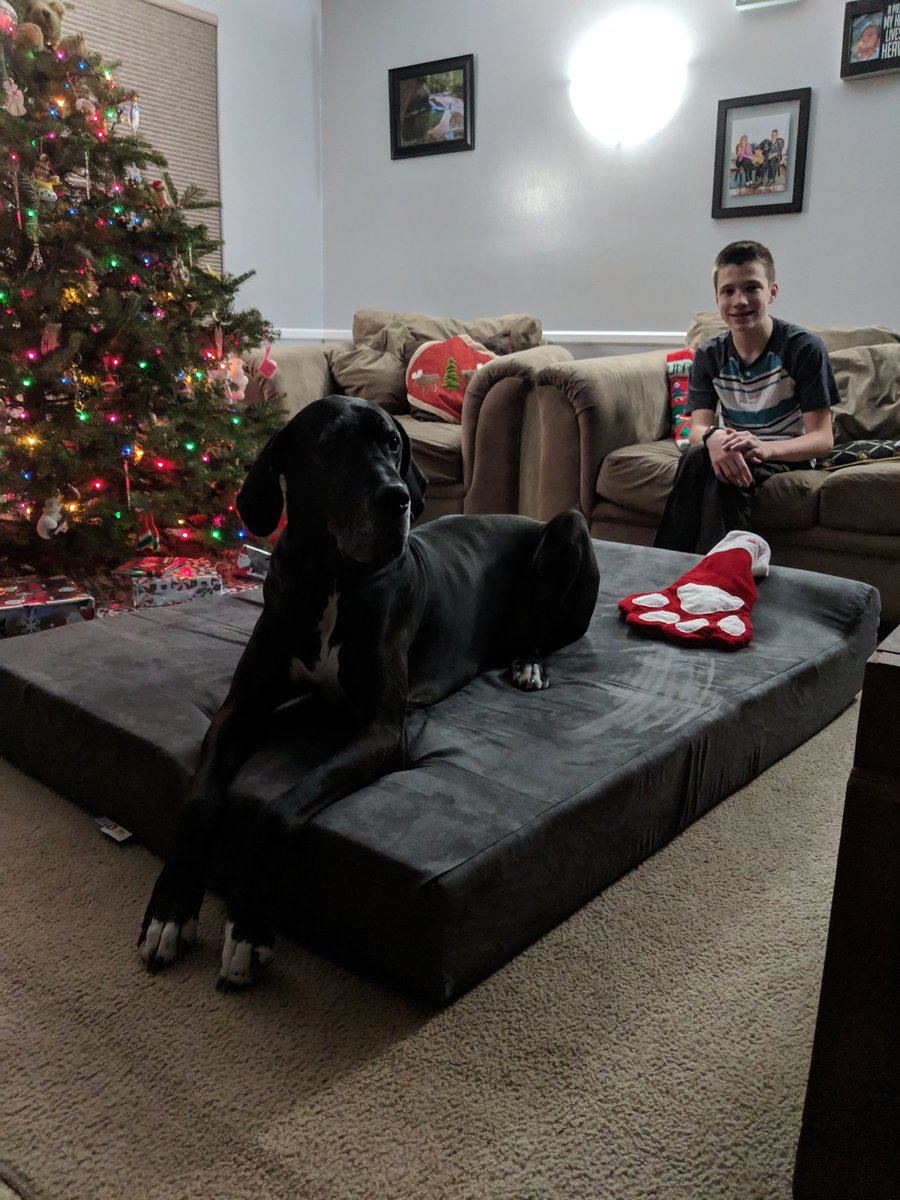 TeamHunterWendy's tweet photo. We want to say a big THANK YOU to @bigbarkerusa for Wendy's new Barker bed!! She loves it and knows how the use the headrest!🥰We loved it so much that we decided to sleep on it last night and she shared it with me😉Thank you again so much!!!💕 #bigbarker #amazingbed #sograteful https://t.co/mH5wWvRQMR