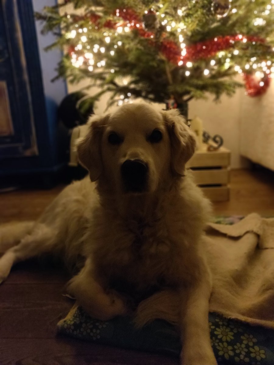 Hope everyone had a lovely Christmas, do tell me about all the wonderful stories ✨