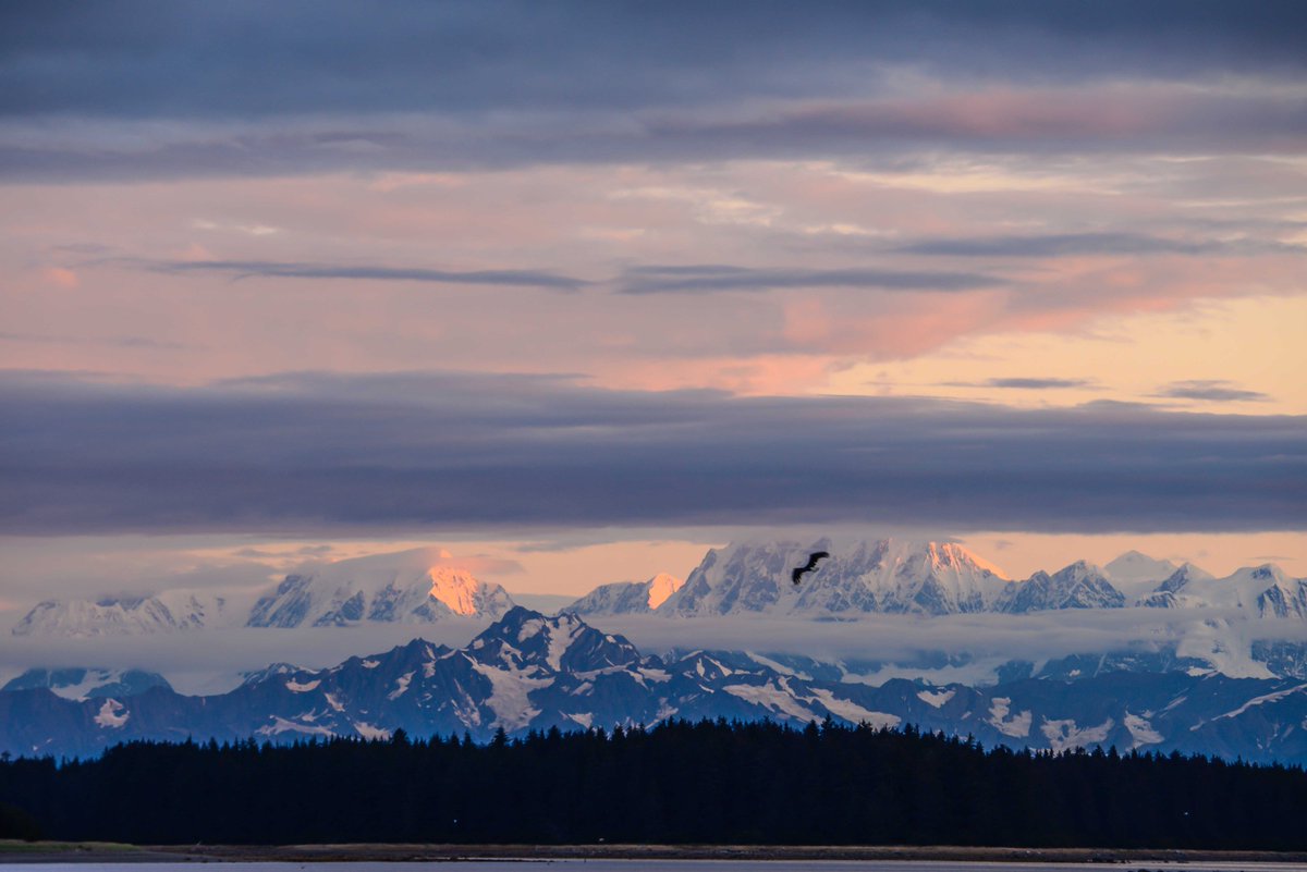 Escape into the untouched. 
#Yakutat #Alaska #TheYakutatLodge #Fishingtrip #salmon #Hailbut #angling #outdoors #adventure #ocean #river #sportfishing #travel #uniquedestination